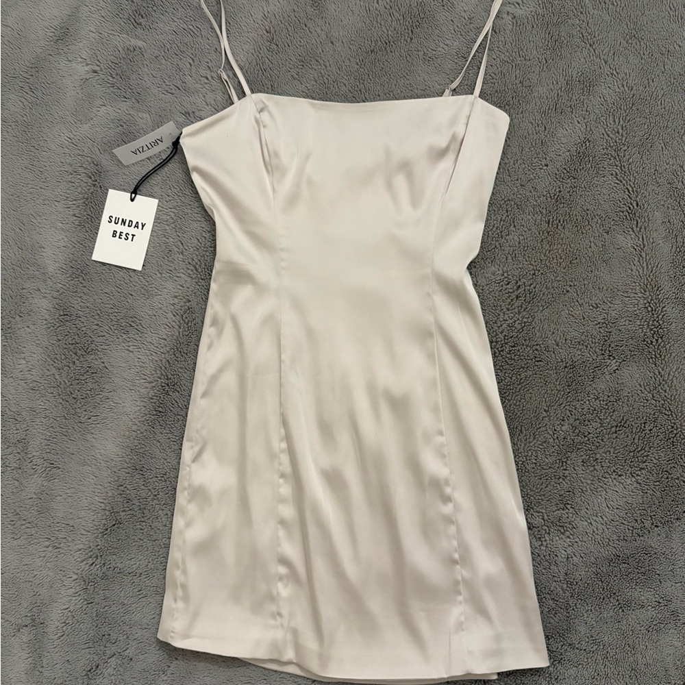 Aritzia Shimmer Dress (Brand New)